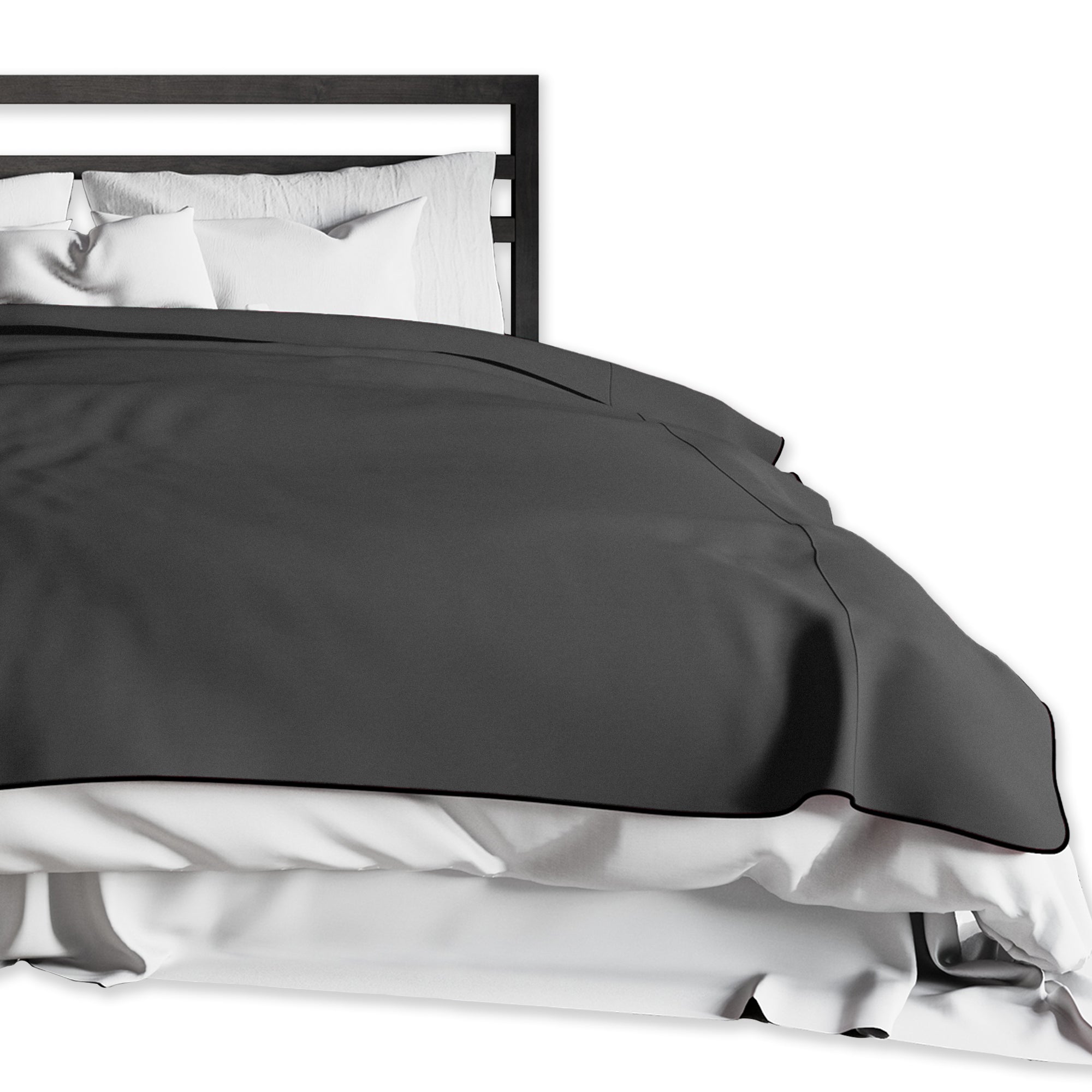 Fascinator Lush Throw  Black Microvelvet