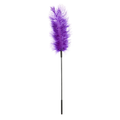 Ostrich Tickler